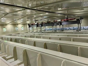 Pickling and Phosphating