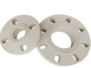 PPH Flange Gasket